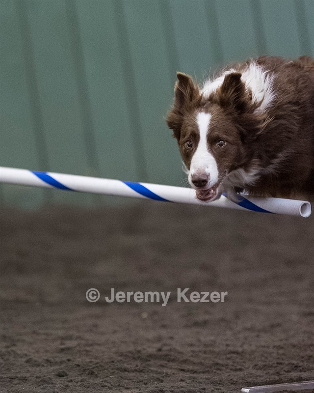 20250614-CCM-0185.jpg