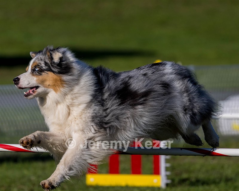 20230917-PVKC-2013.jpg