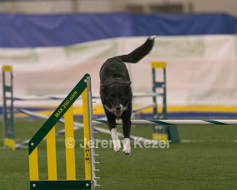 20150321-LEAP-0308.jpg