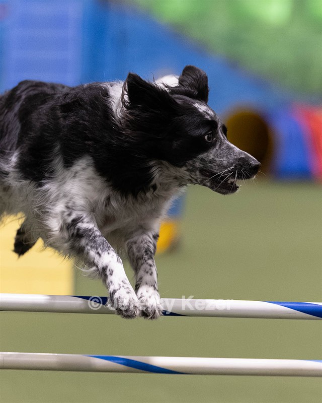 20260221-0877.jpg