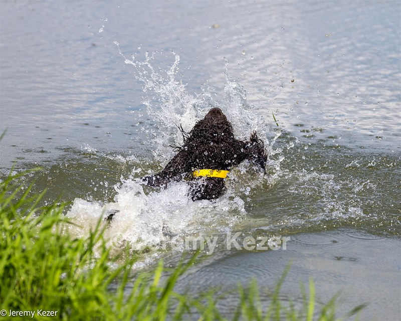 Arrow Kezer