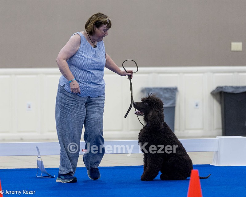 R15 - GCH CH LANDACRE'S NORDIC SAILOR DN CGC TKI