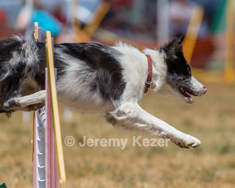 20160619-CCKC-1070.jpg