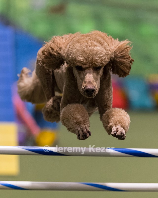Winston Kelly