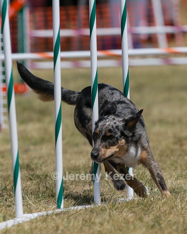20150614-CCKC-1754.jpg