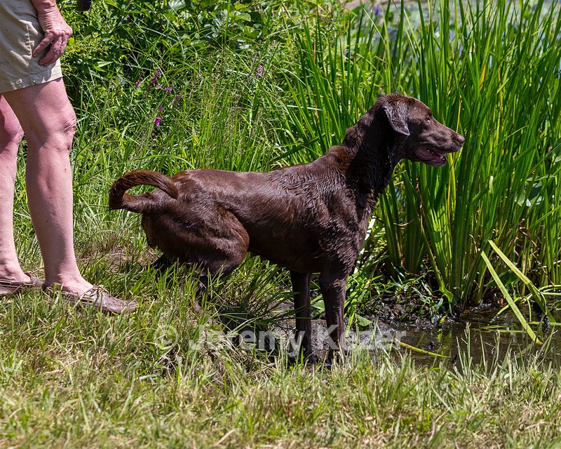 20190804-SHW-0016.jpg