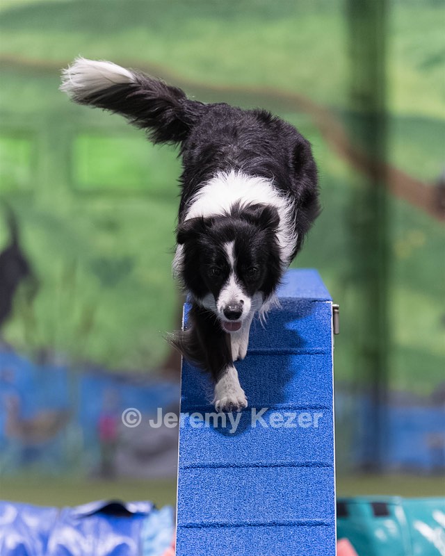 Breeze Schunk