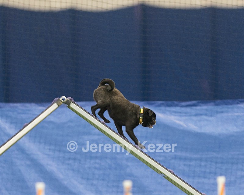 20150321-LEAP-1680.jpg