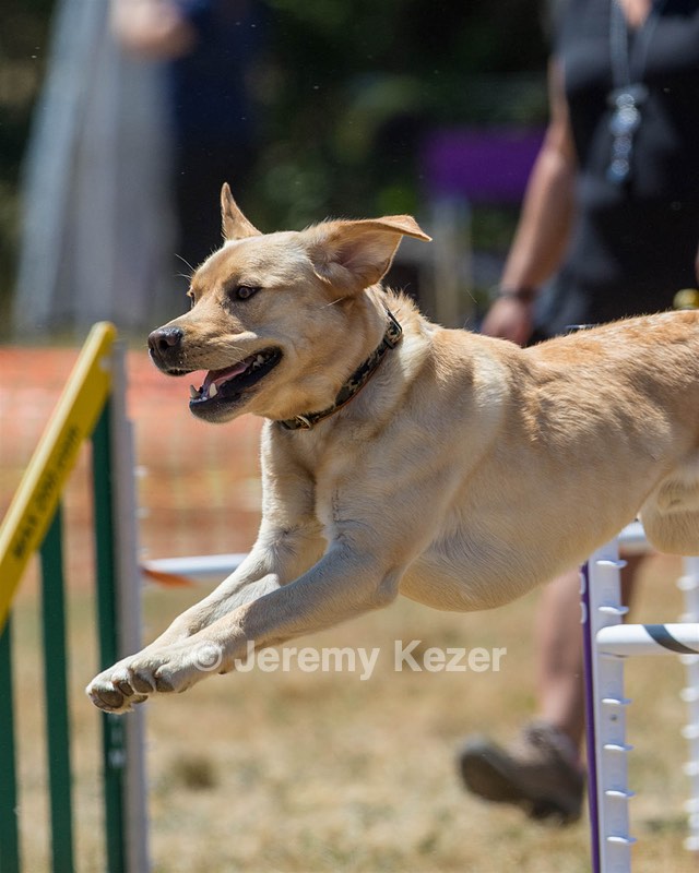 20160618-CCKC-1598.jpg
