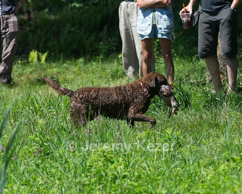 20130810-JHW-0021.jpg