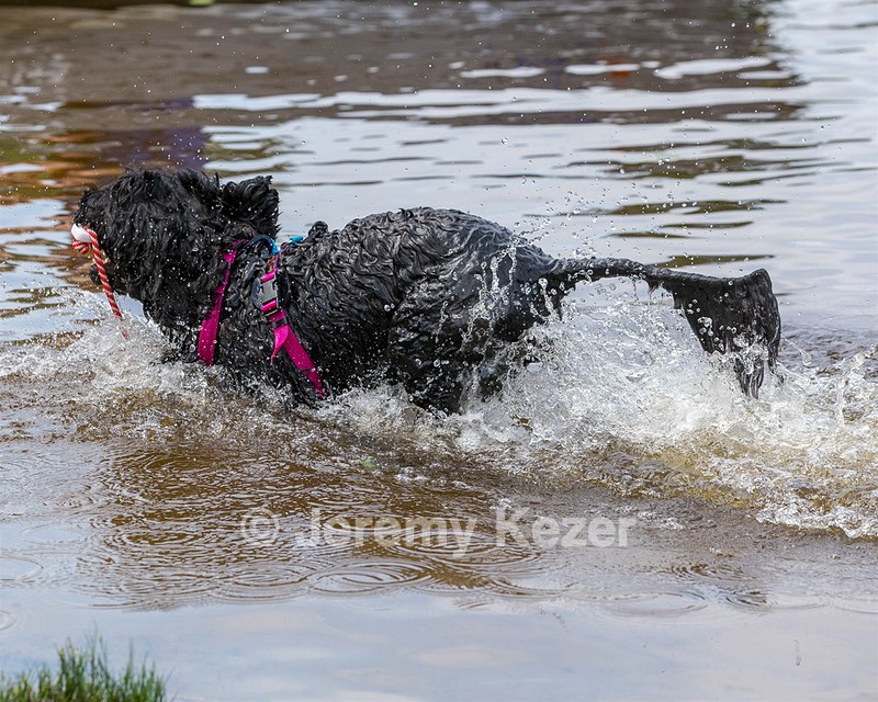 "Mistral" & Tobi-Ann