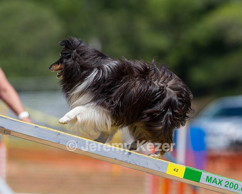 20160619-CCKC-1144.jpg