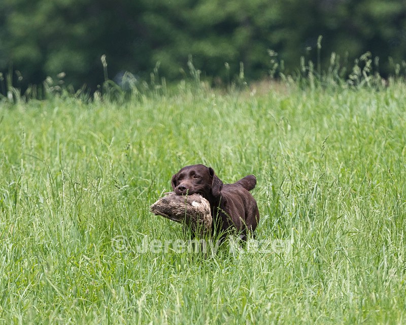 20160604-SEAL-1176.jpg