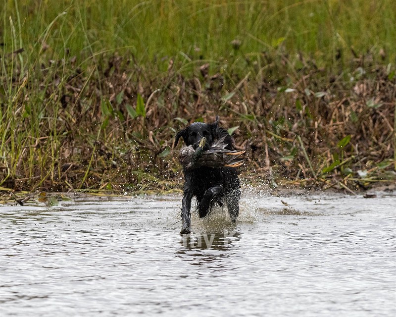20161008-WCXW-0689.jpg
