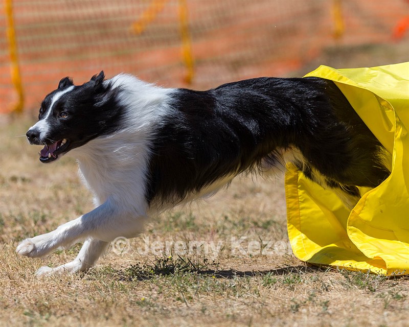 20160619-CCKC-1345.jpg