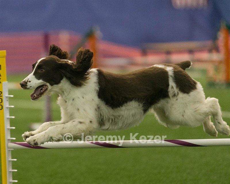 20150321-LEAP-1437.jpg