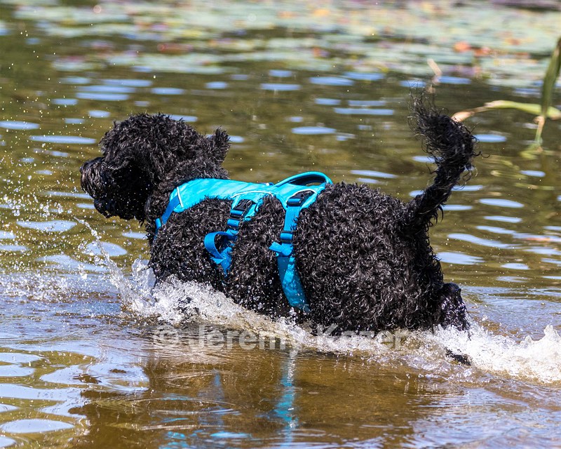 Fenwick Janet