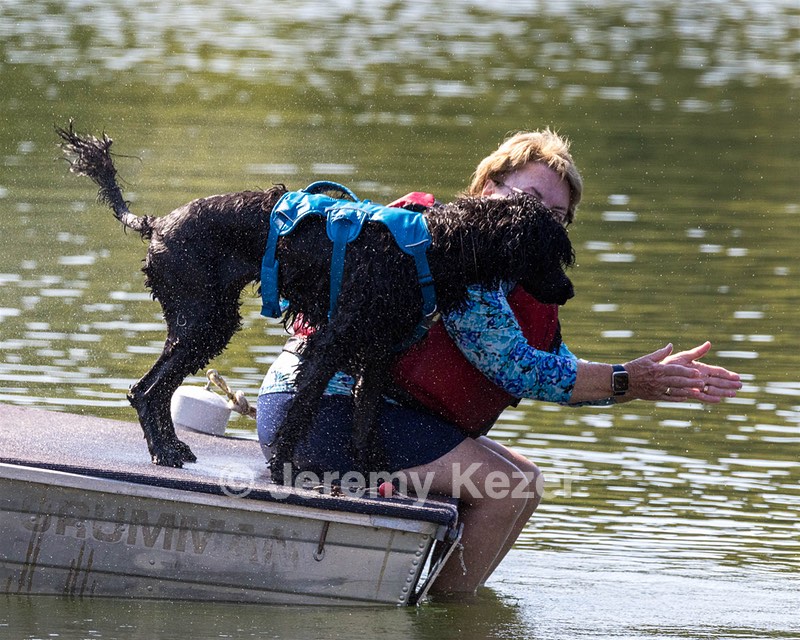 Boaty Bellicose