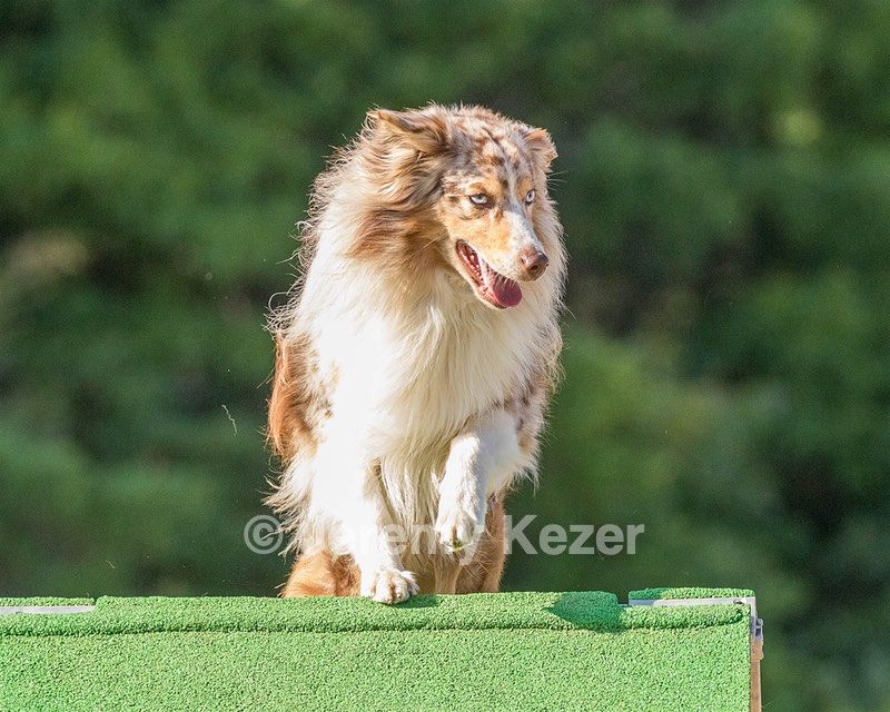 20160618-CCKC-2440.jpg