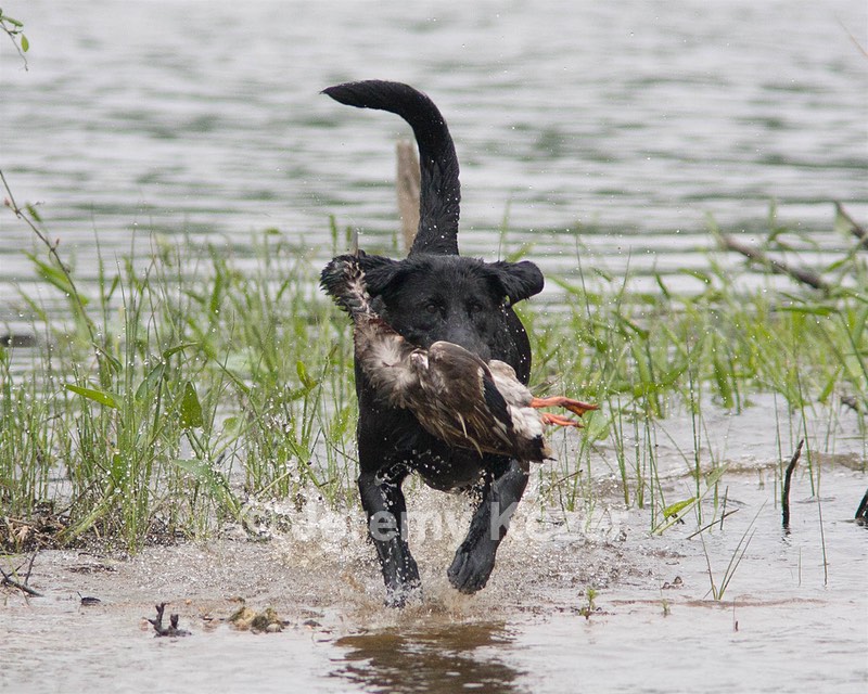20080531-HRW-0993.jpg
