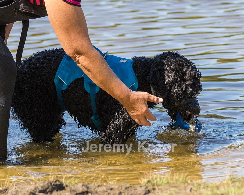 Fenwick Janet
