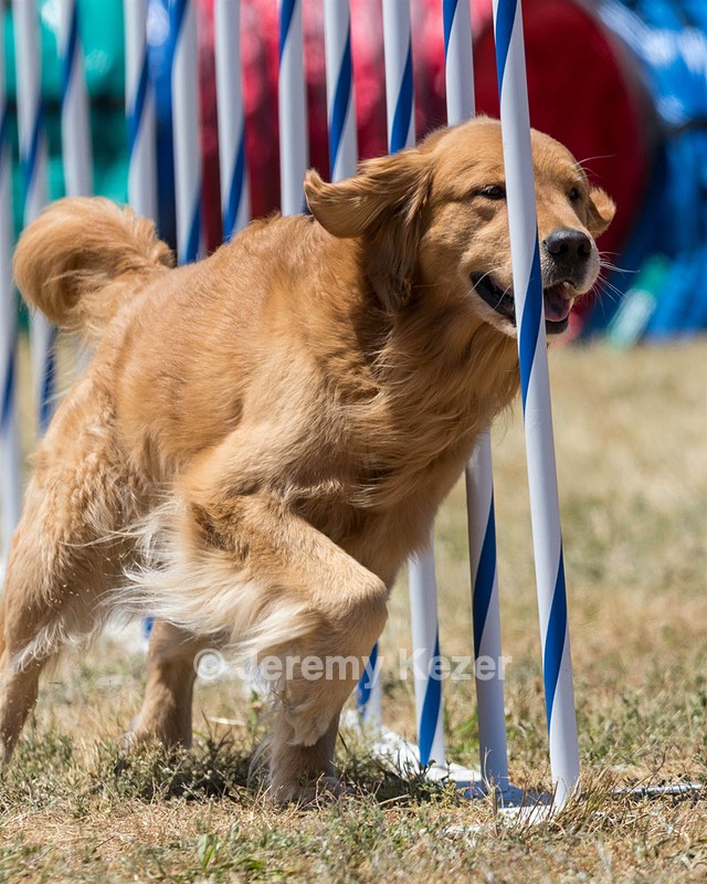 20160618-CCKC-1340.jpg