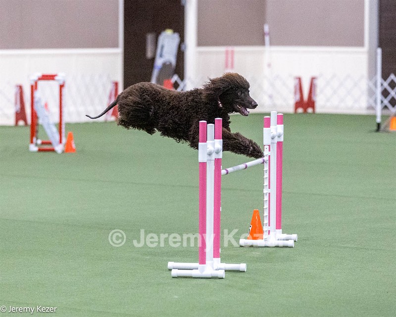 20240520-AG-0020.jpg
