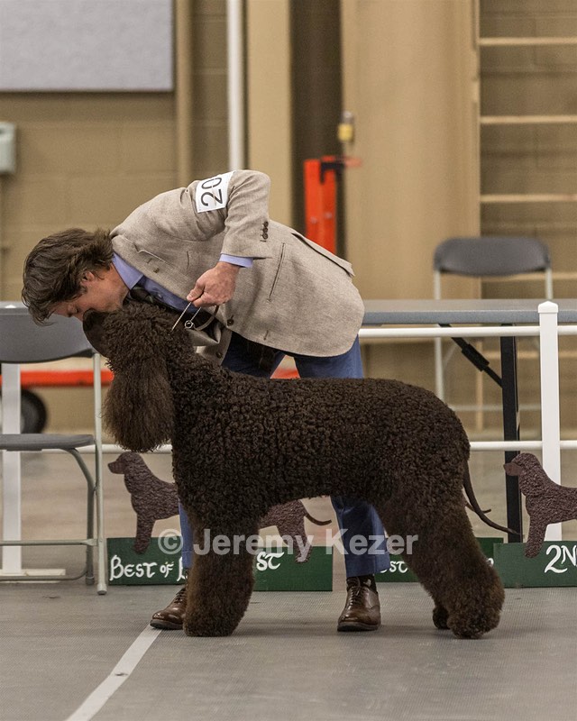 201 - CH Realta & Sycomore O’Boy