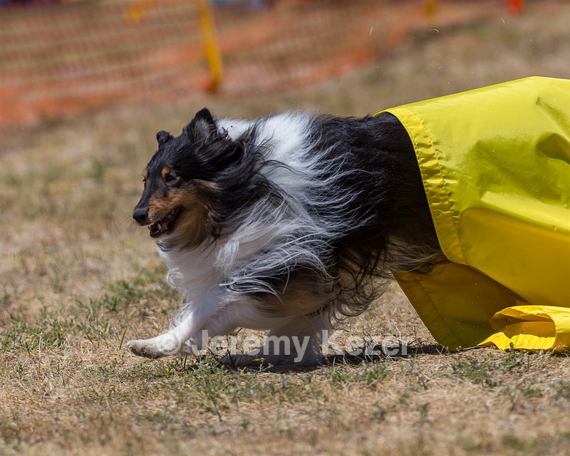 20160619-CCKC-1264.jpg