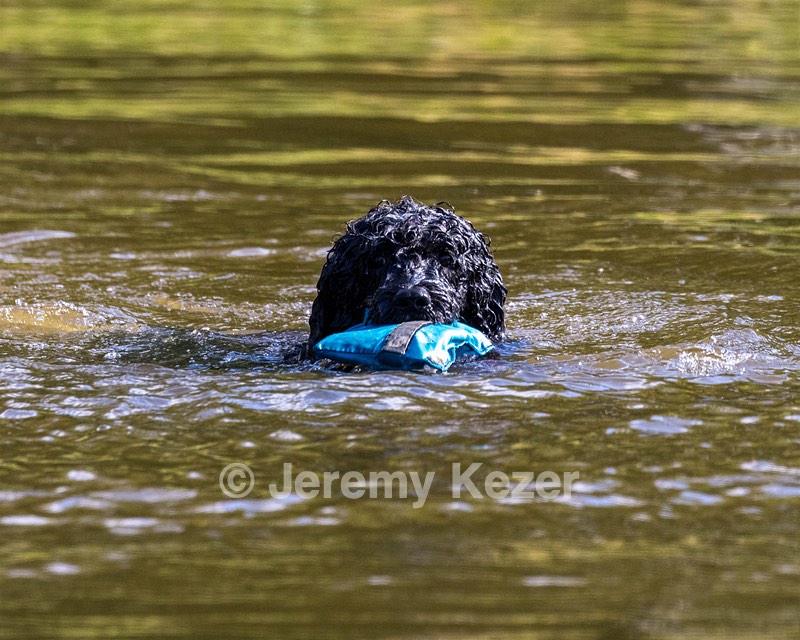 Perry
