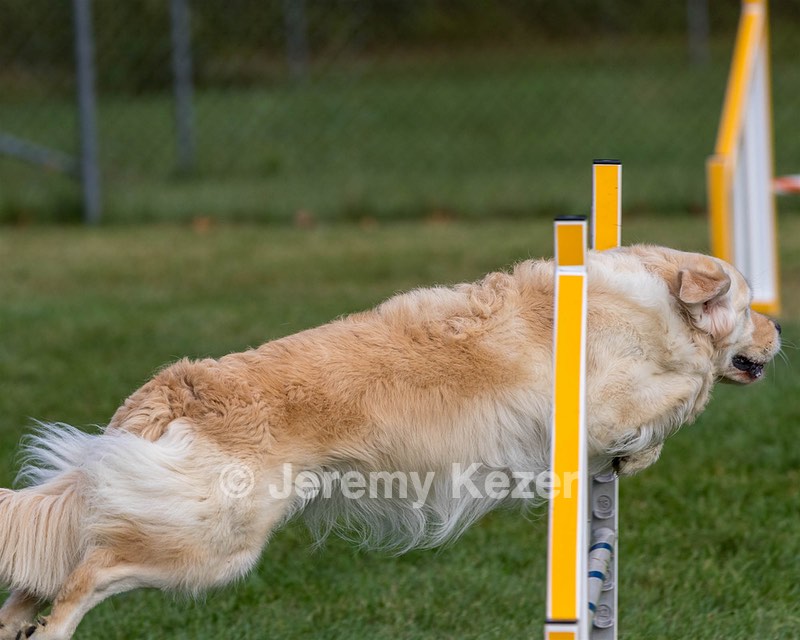 20200819-0224.jpg