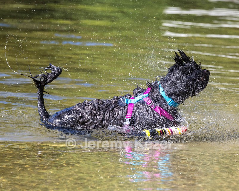 Penny Toby-Ann