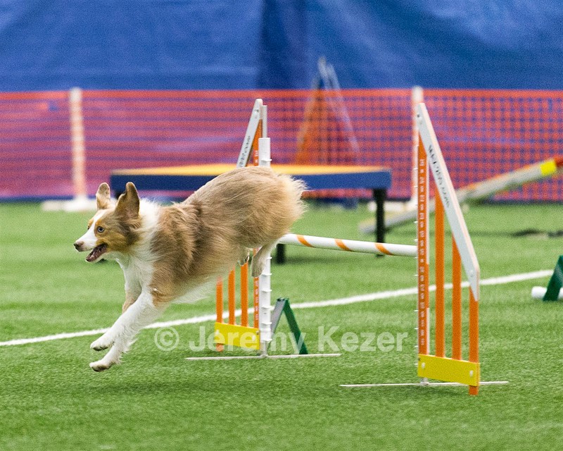 20150322-LEAP-0310.jpg