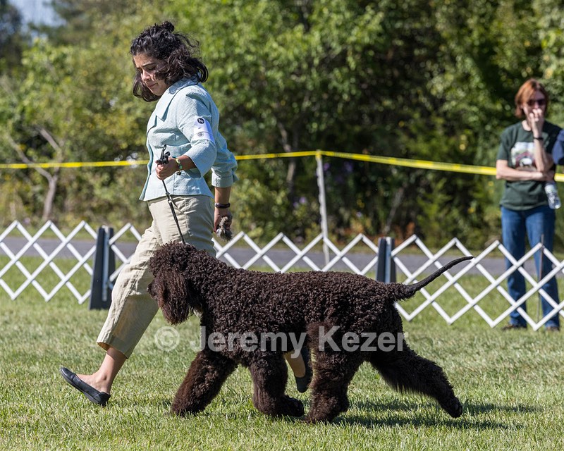 09 - GCH CH POOLE'S IDE DARK KNIGHT RN CGC TKN ATT (Oscar)