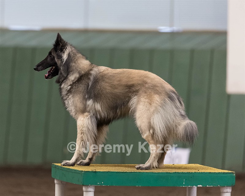 Stella Corriveau