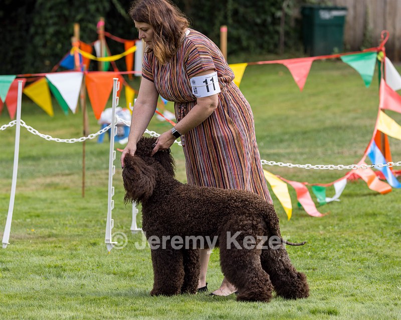 11 - GCH CH BREKKON'S FIRST MARK BN RN CGC TKN (Hunny)