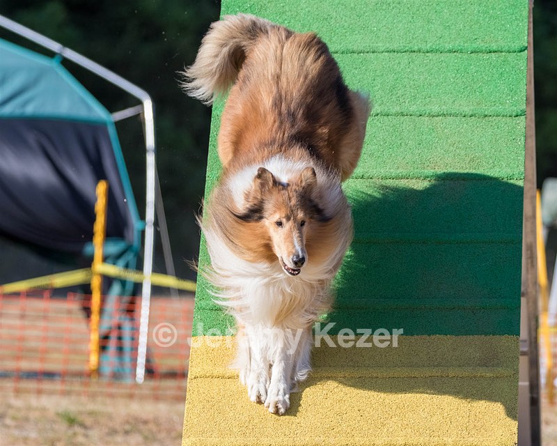 20160618-CCKC-2435.jpg