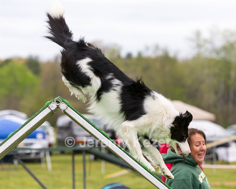 20160515-NEAT-0378.jpg