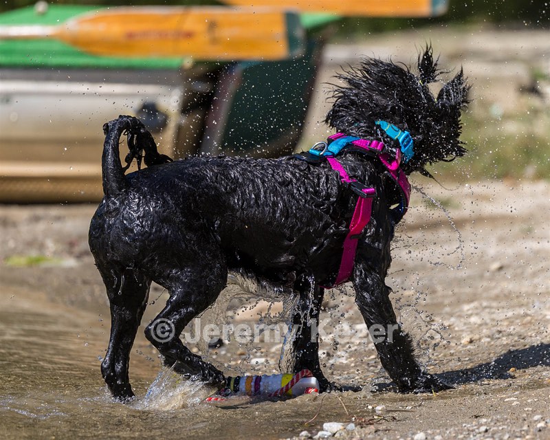 Penny Toby-Ann