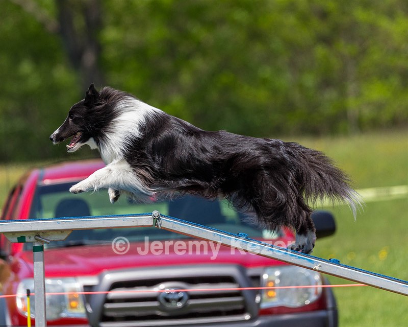 20170520-NEAT-1531.jpg