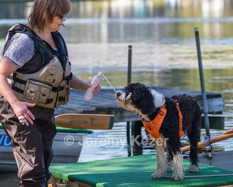 Piper Karen