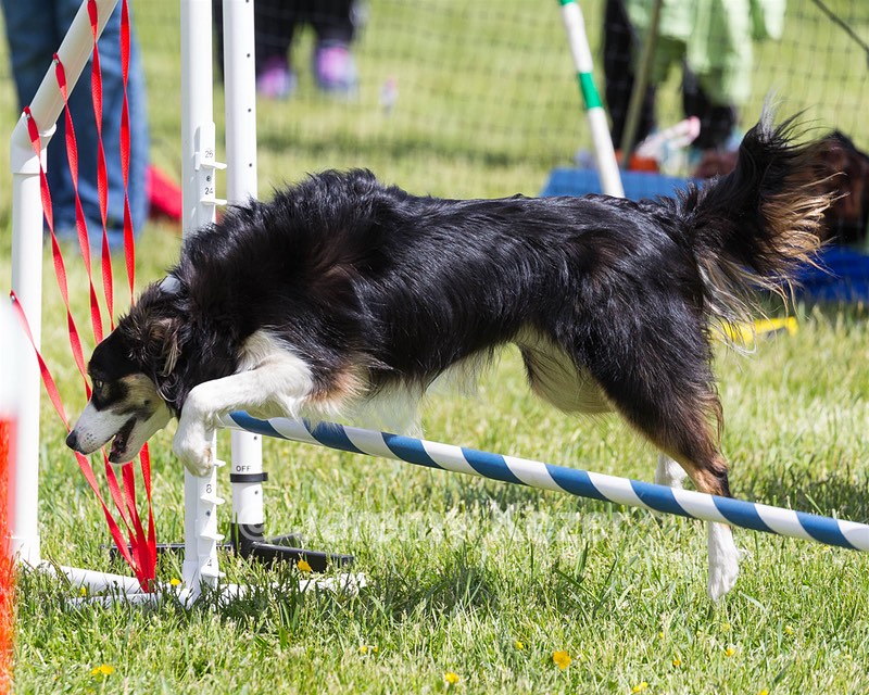 Pip Spiero