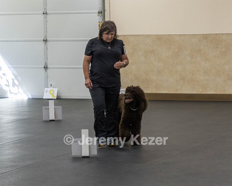 2801 - FINNIBONE'S CUZ MAMA CAN RE DS DJA CGC TKN VHMA (Mamma Cass)