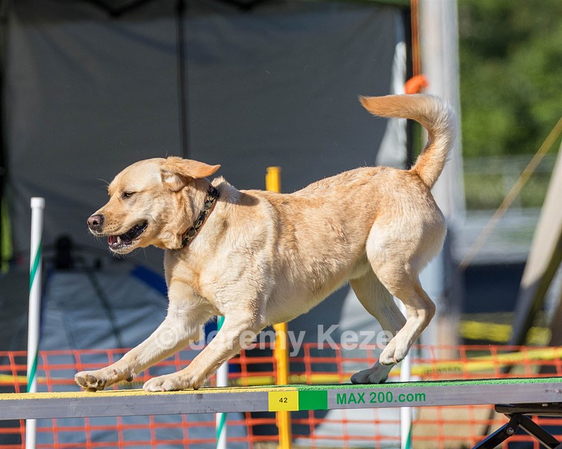 20160618-CCKC-2463.jpg