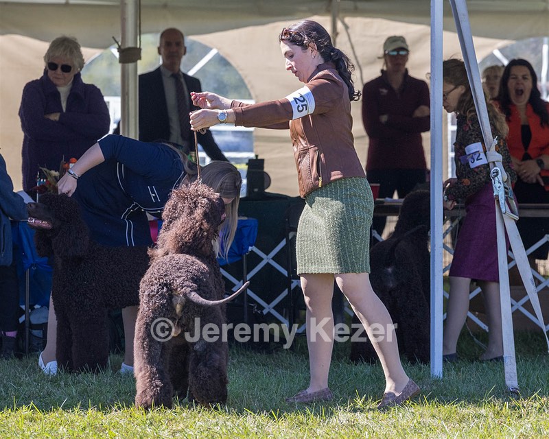 25 - GCH CH POOLE'S IDE RIPTIDE OHS RI DS CGC (Rip)