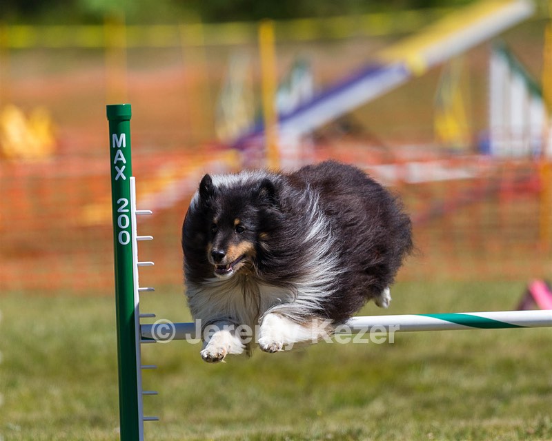 20180617-0573.jpg