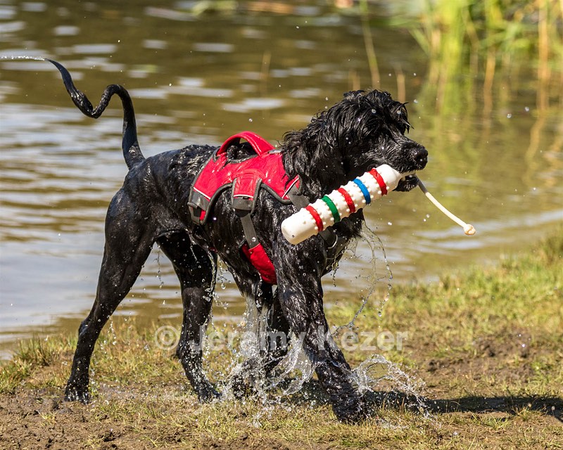 Scully Kari