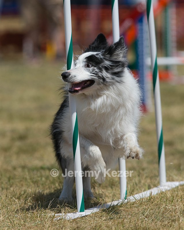 20150614-CCKC-1814.jpg