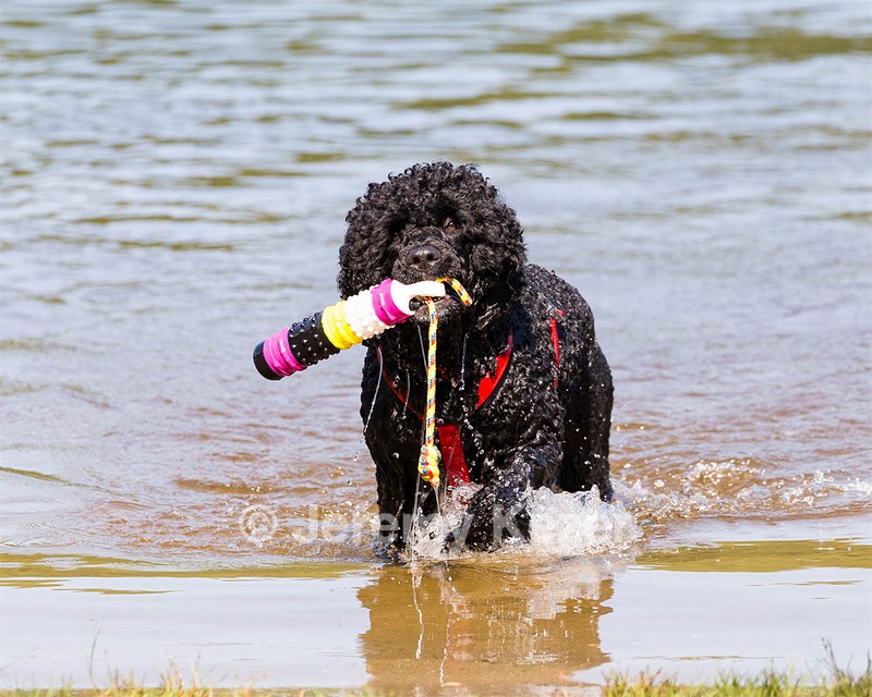 Phelps