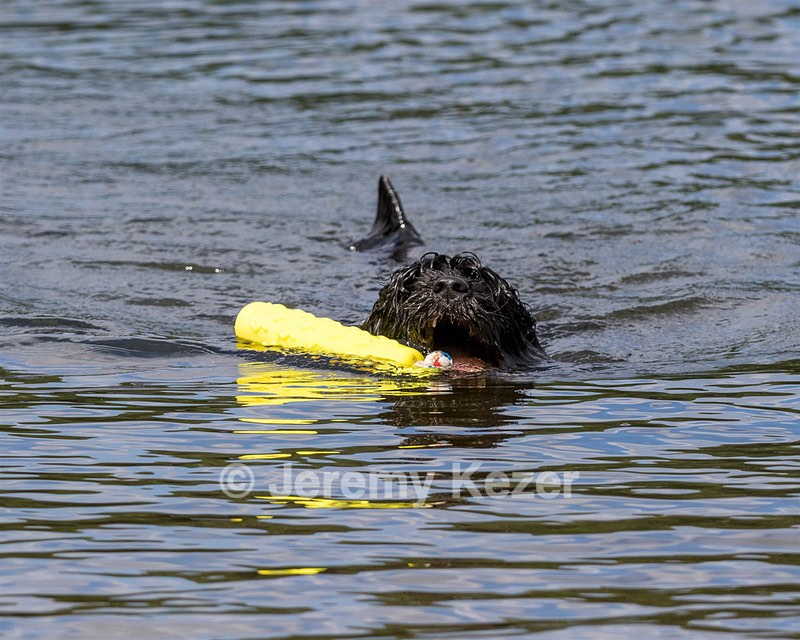 Rosie
